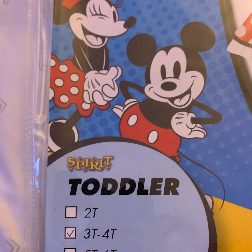 Minnie Mouse costume